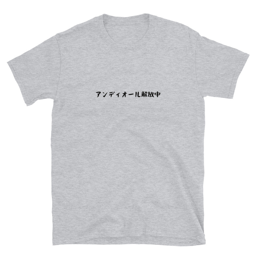 「アンディオール解放中」クラシックTシャツ